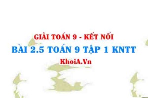 Bài 2.5 SGK Toán 9 tập 1 Kết nối tri thức